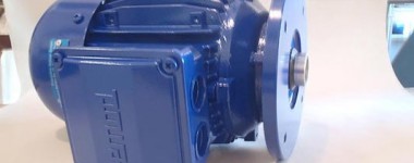 Prazisions-Ruher GmbH AC Motor, Hollow Shaft IEC 80 0.55kW, 1100RPM R80L-6 SW