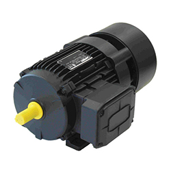 AFF (Full Size) Brake Motors
