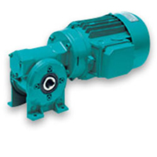 CB 2S<br />Worm Gearmotor