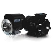 AC35 Cemp Explosion Proof Motors