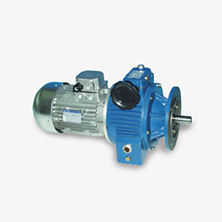 Mechanical Speed Variator WMF